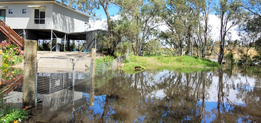 River-murray-floods-905x428