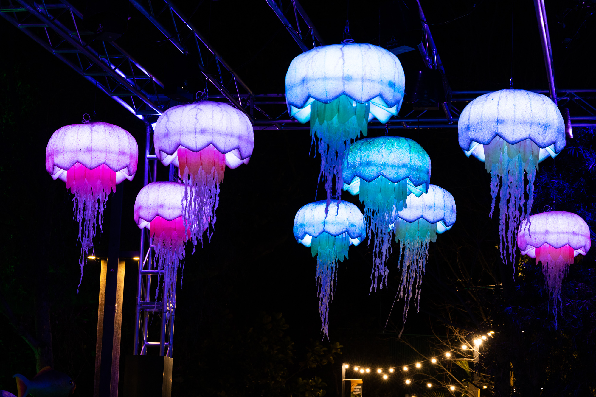 Light Creatures lantern of floating jellyfish