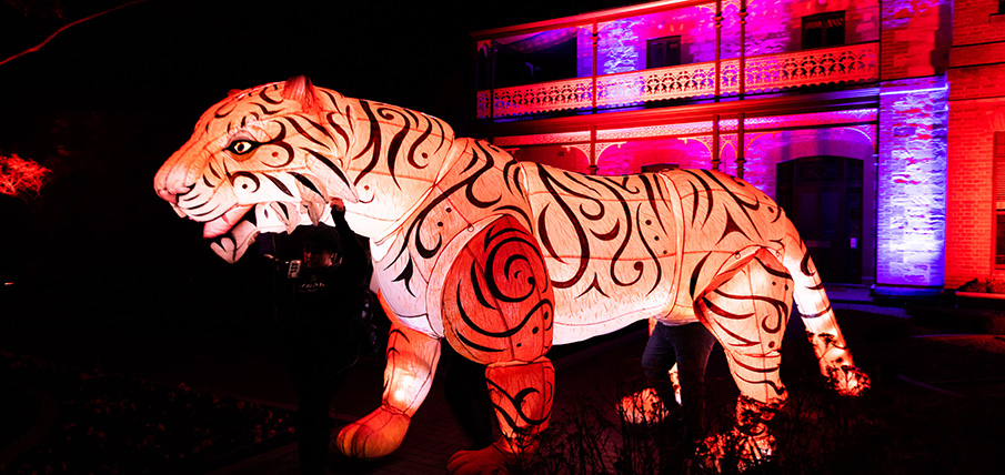 Light_Creatures-web news hero Light_Creatures-web news hero