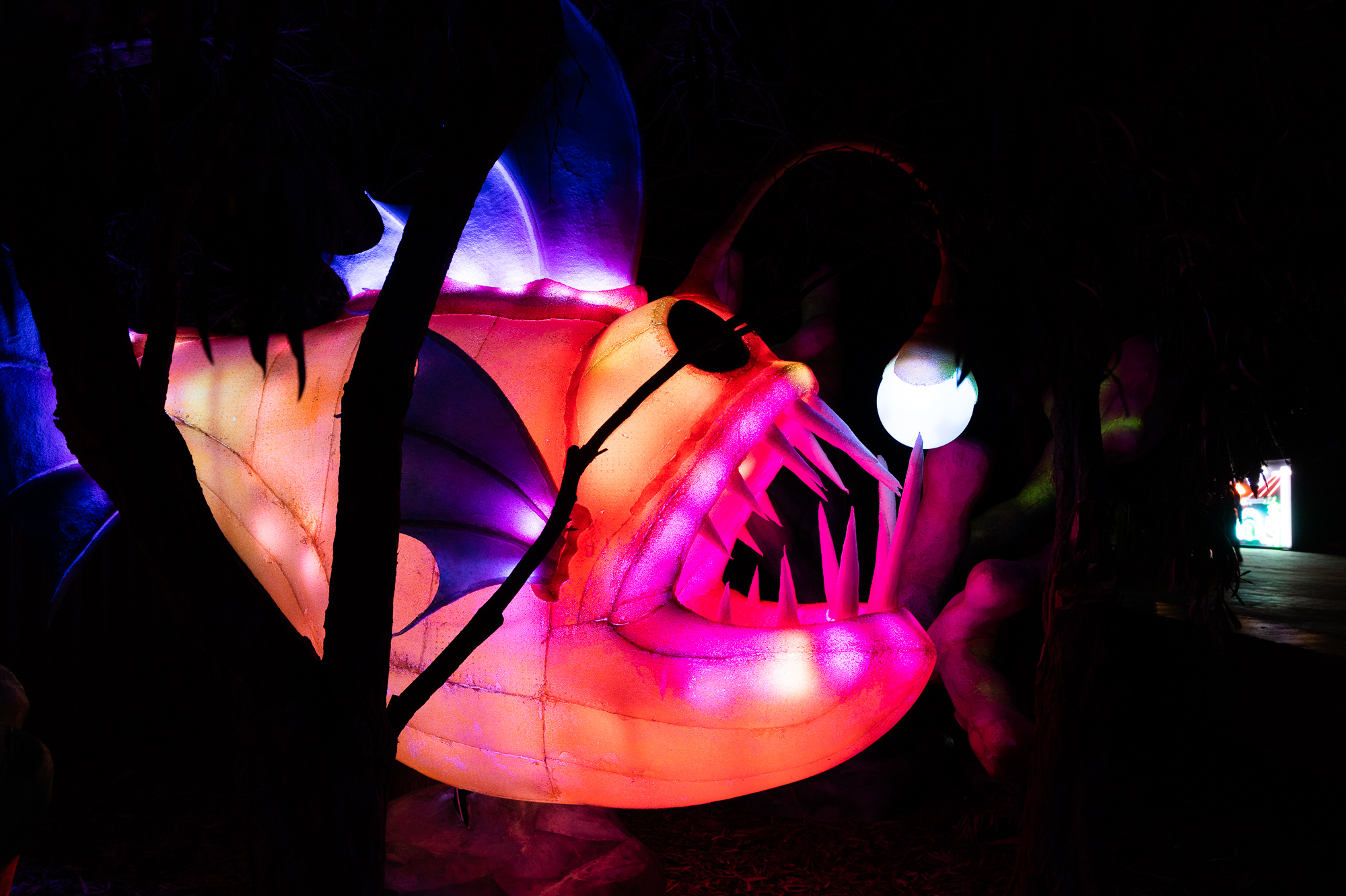 Light Creatures lantern of Underwater Wonderland at the Adelaide Zoo