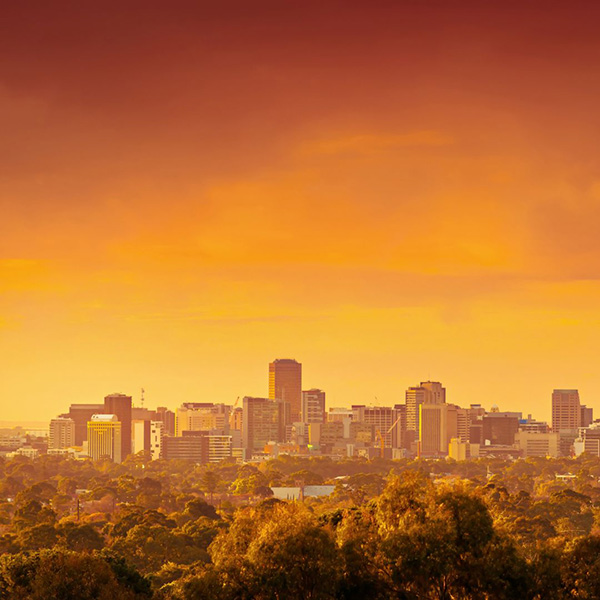 Adelaide city skyline behind parklands