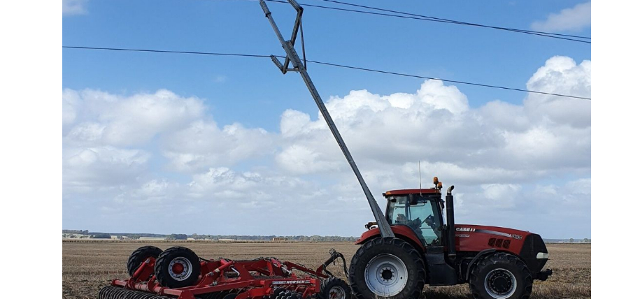 Look up and live seeding Look up and live seeding
