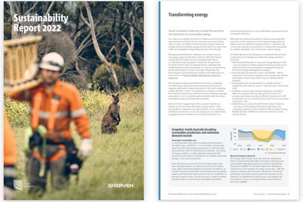 Sustainability Performance Report graphic