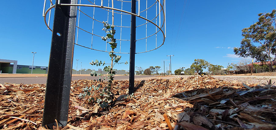 Vegetation Management Hero Vegetation Management Hero