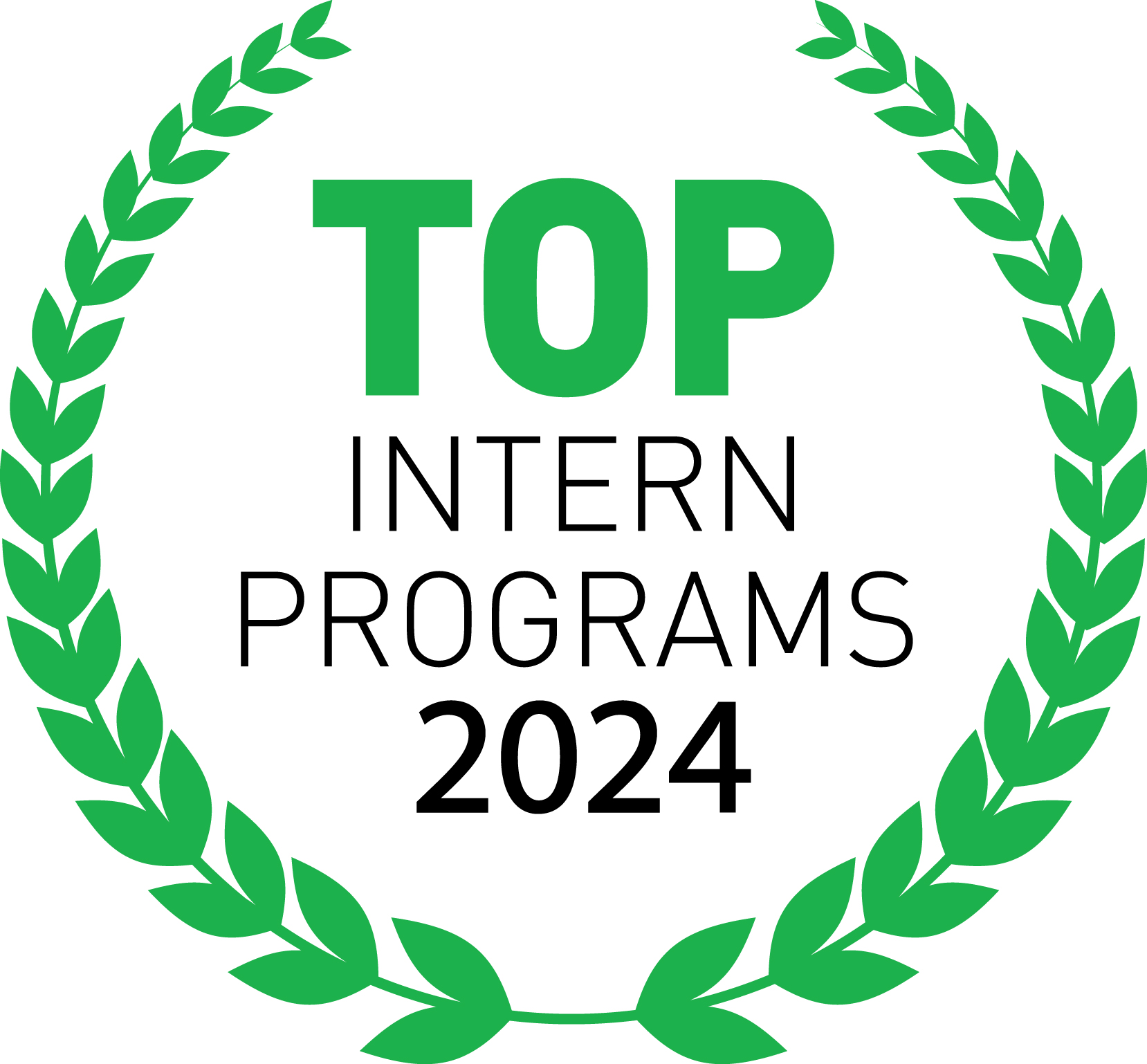 Top Intern Program 2024