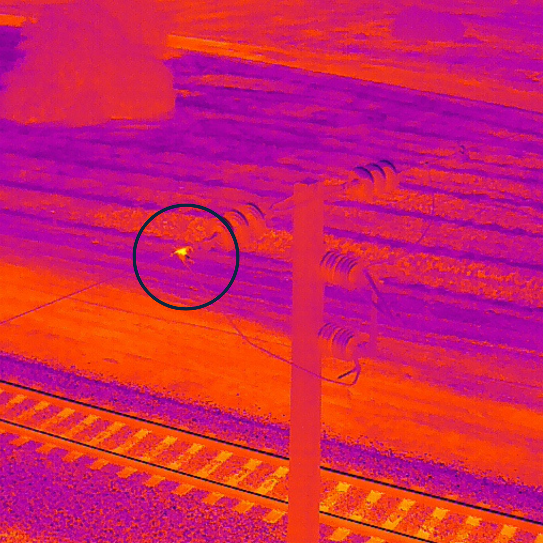 Thermographic Inspections