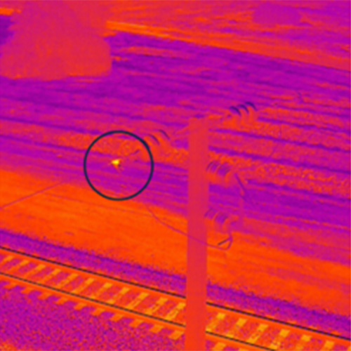 Thermographic image taken from a drone on a night-time flight.