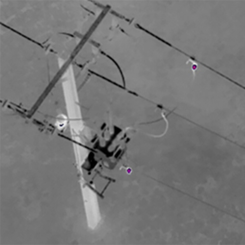Thermographic image taken from a drone on a night-time flight.