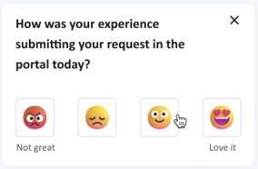 Portal feedback screen shot