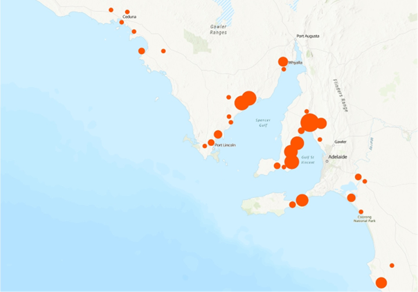 Insulator Pollution impacted areas
