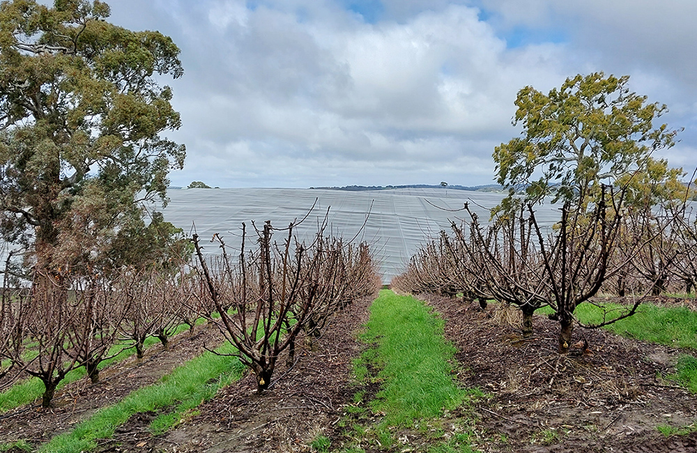 Agricultural netting examples 2