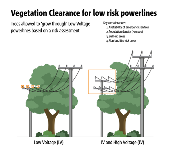 Information about vegetation Clearance for low risk powerlines. It shows in some instances that trees are allowed to grow through low voltage powerlines in what is deemed to be 'low risk' conditions. Key considerations for the low risk conditions are, 1. Availability of emergency services, 2 Population density (>10000) Built up areas and non-bushfire risk areas.