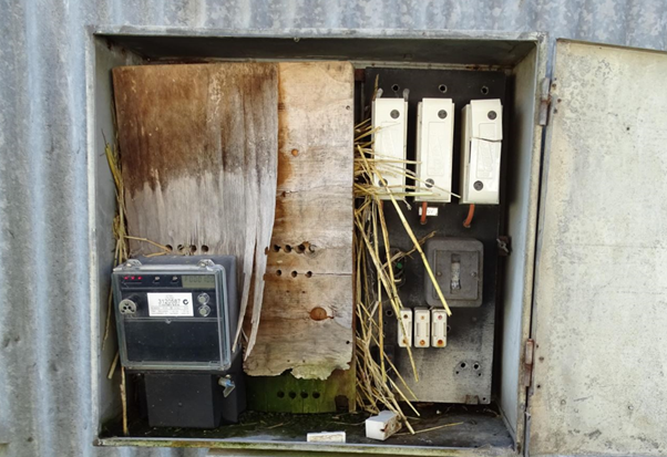 Privately-owned meterbox damage
