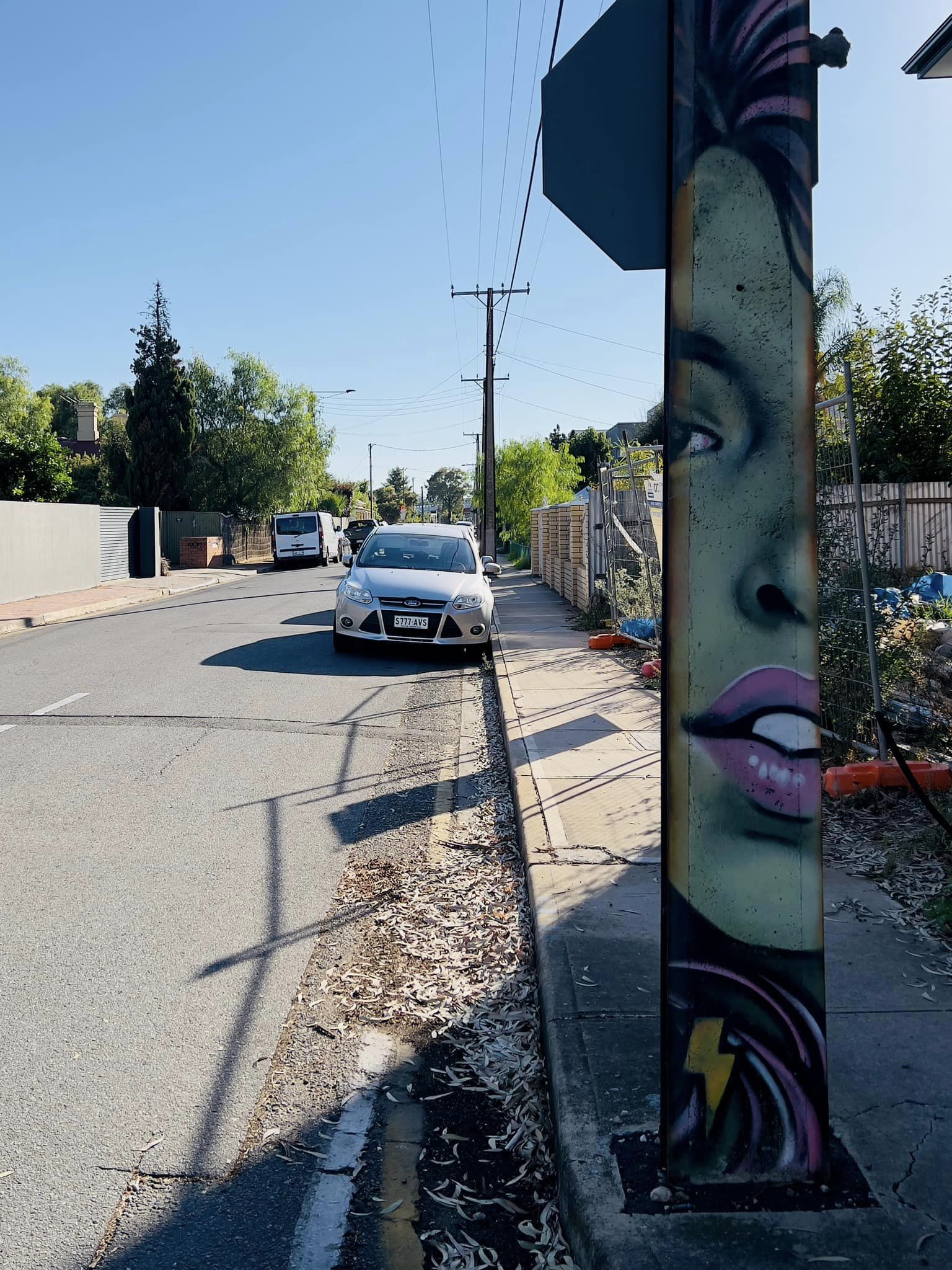 Stobie Pole Art by Photographer Andrew Jones (@adelaide.street.art.2022)